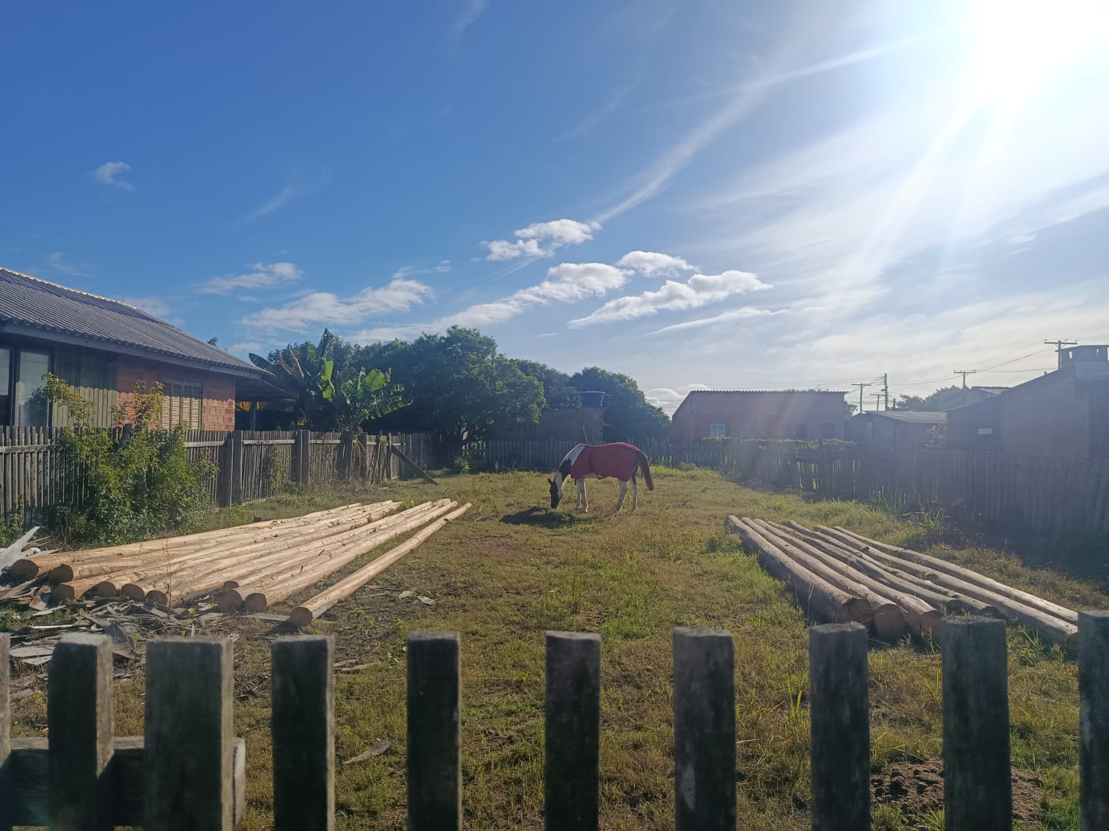 Terreno Proximo à Lagoa Rondinha - foto 4